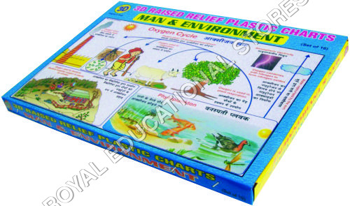 3D CHARTS-MAN & ENVIRONMENT