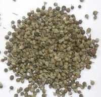 Sambhalu Seed
