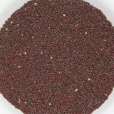 Sarso Mustard Seeds