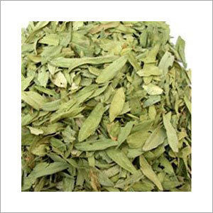 Herbal Product Senna Leaves