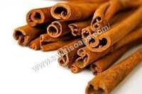 Cinnamon Essential Oil
