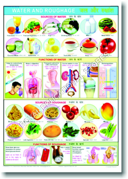 CHARTS-FOOD & NUTRITION