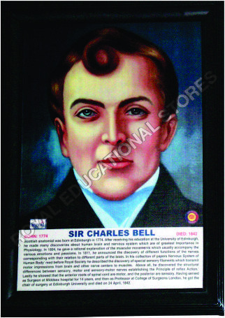 PORTRAIT1 - Wood and Paper, 12x16 Inches, Brown | Framed Portrait, Historical Detail, Educational Display
