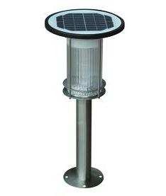 Solar Lawn Lights