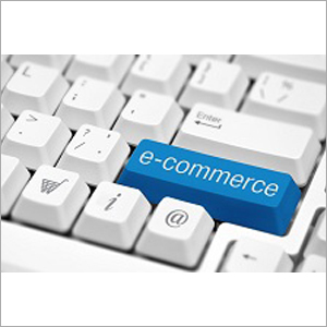 Ecom Hosting Services