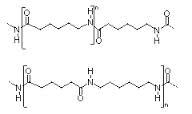 Nylon66