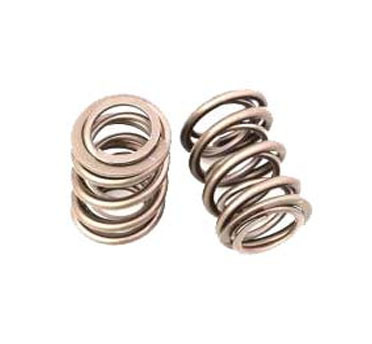 OUTER SPRING