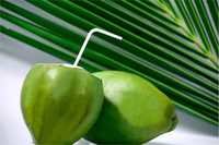 Coconut Ice Cream - Coconut Cream, 7x5x5cm Green Cup | Natural Taste, Low Fat, Creamy Texture, Exotic Flavor, No Preservatives, Pleased Aroma