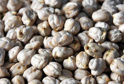 Dollar Chana - Count 40-44, Beige Color, Roundish Shape | Easy to Cook, Good Taste, High Protein, Rich Fiber, Versatile Use