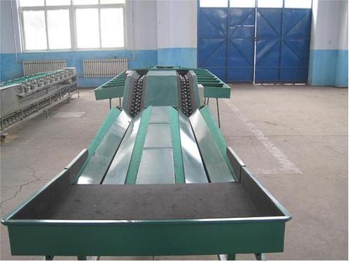Automatic Feeding Fruit Grading Machine By SOLUTIONS PACKAGING
