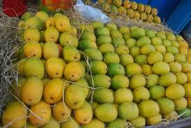Fresh Fruits