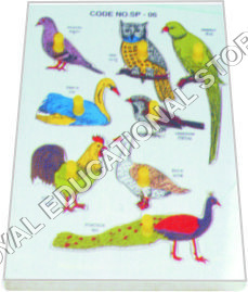 INSERT TRAY PUZZLE-BIRDSD