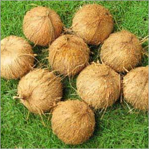 Full-Husked Husked Coconut