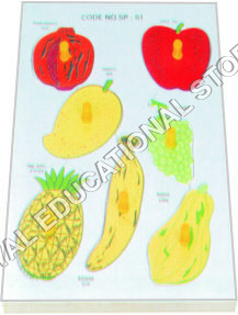 Insert Tray Puzzle-fruits at Best Price in Delhi, Delhi | Royal ...