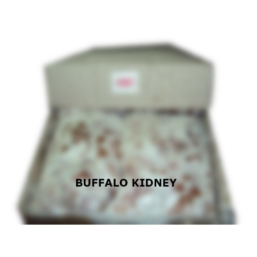 Buffalo Kidney