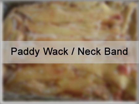 Paddy Wack / Neck Band