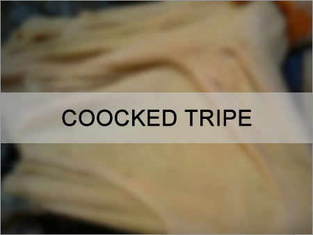COOCKED TRIPE