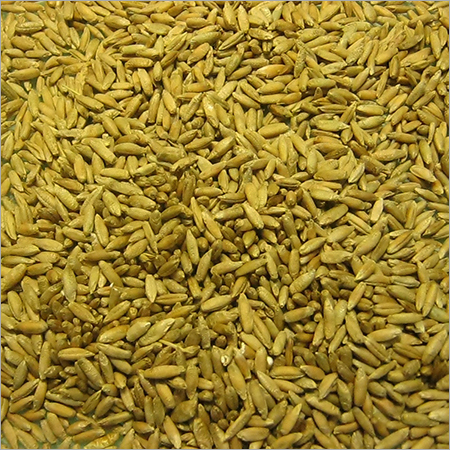 Rye