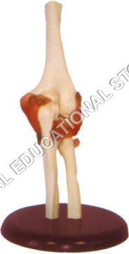 ELBOW JOINT