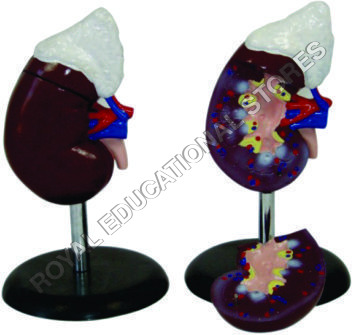 Scientific Instrument & Model