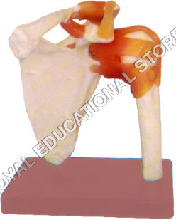 SHOULDER JOINT