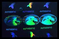 ID Card Transparent Hologram Overlay