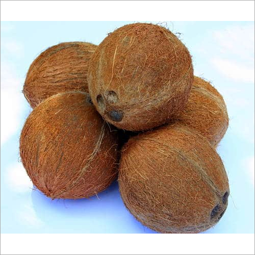 Organic Indian Fresh Coconut