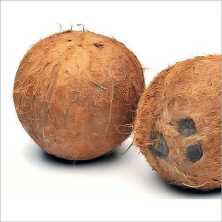Semi Husked Coconut