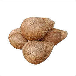 Semi Husked Coconut