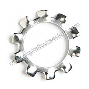 Stainless Steel Star Washers