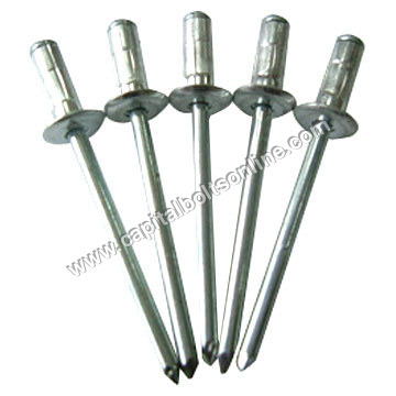 Round Stainless Steel Blind Rivets