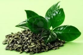 Tea Leaves