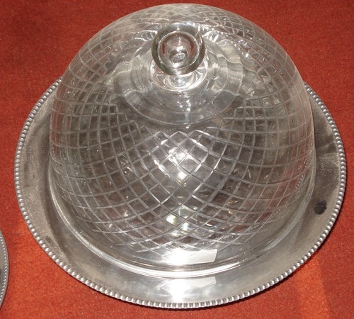 Cake Cover & Plates