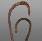 Decorative Dried Sticks