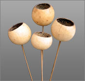 Decorative Bel Cups