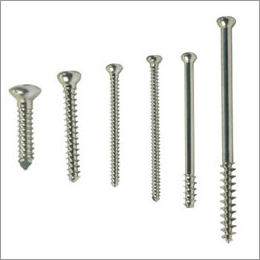 Bone Screws