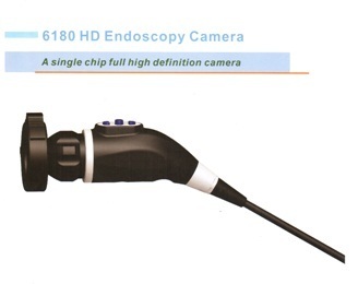 endoscopy