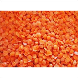 Masoor Dal