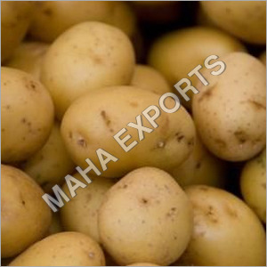 Fresh Potatoes