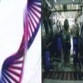 Textile Desizer