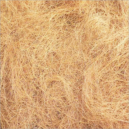 Coconut Fiber