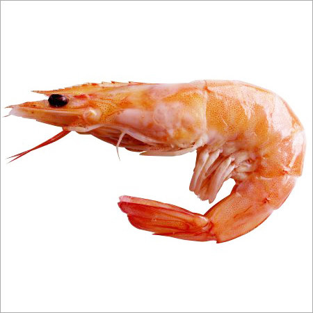 Fresh Prawns