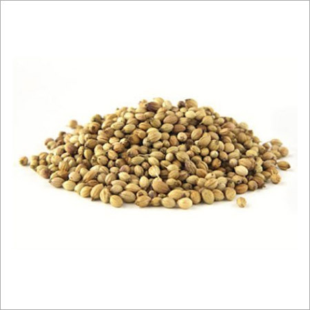 Dry Coriander