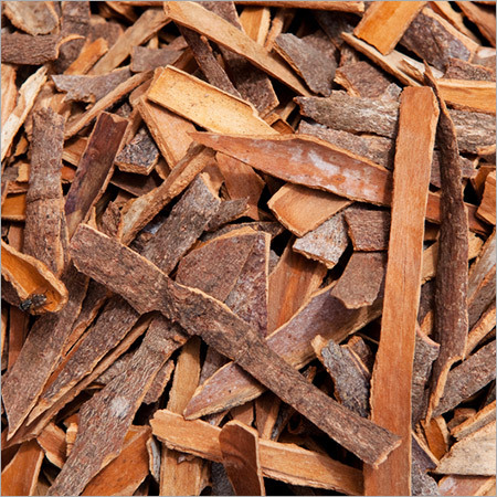 Indian Cinnamon
