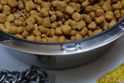 Slow Feeding Dog Bowl