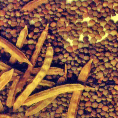 Organic Guar Gum Seeds