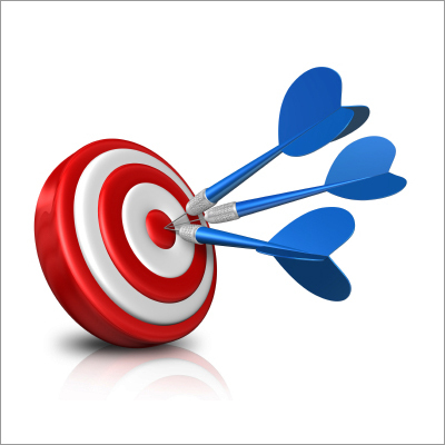 Software Consulting Services