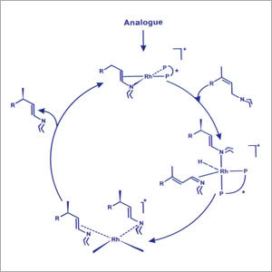 Homogeneous Catalysts