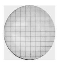 Grid Eyepieces