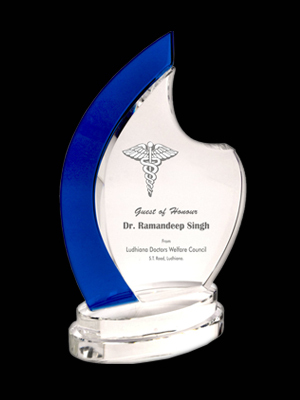 Acrylic Honor Trophy
